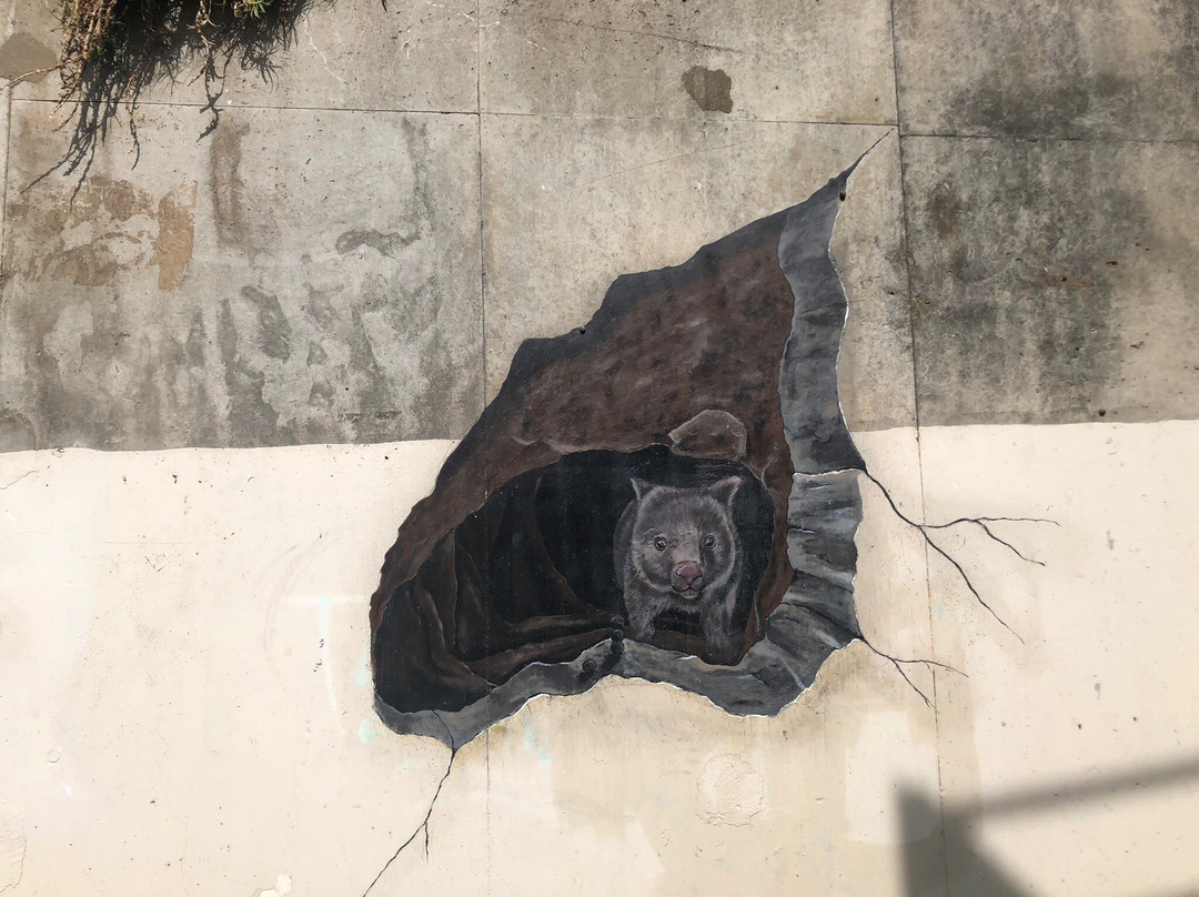 Wombat Mural景点图片