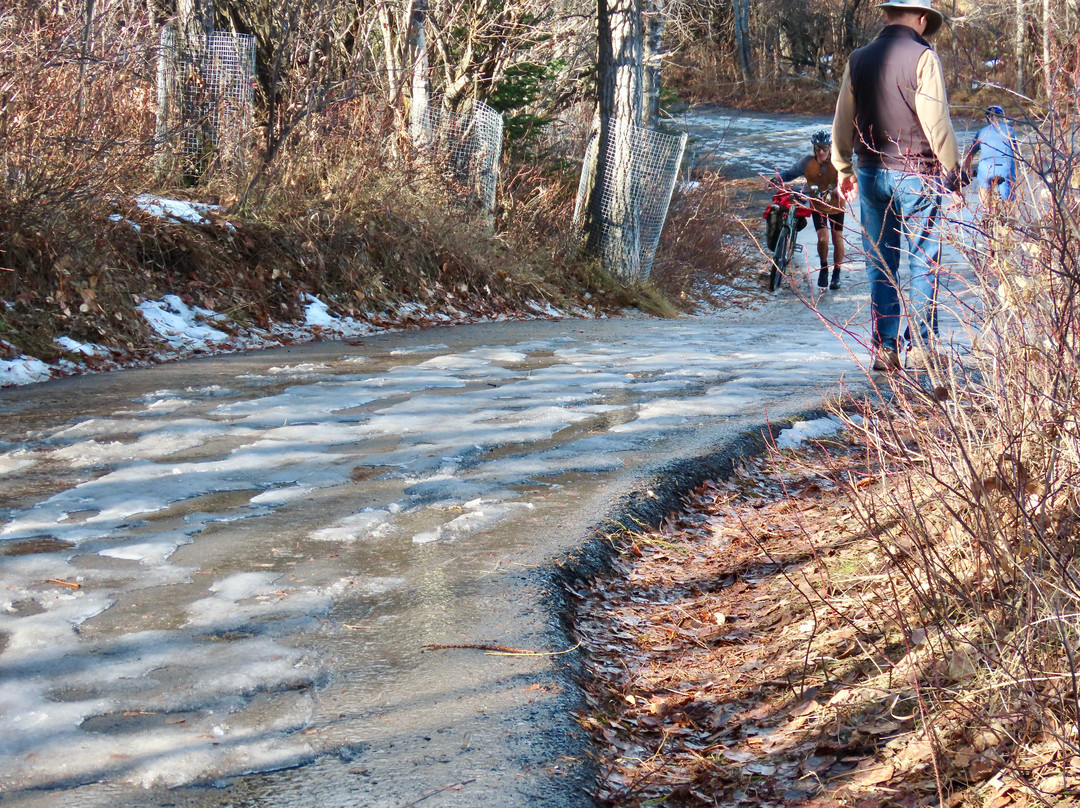 Weaselhead Flats-卡尔加里必去景点