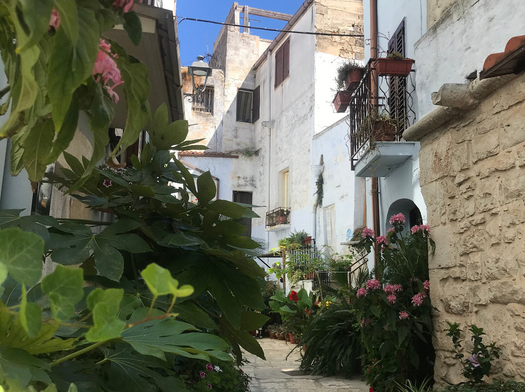 Borgo Antico di Casamassima - Il Paese Azzurro-卡萨马西马必去景点