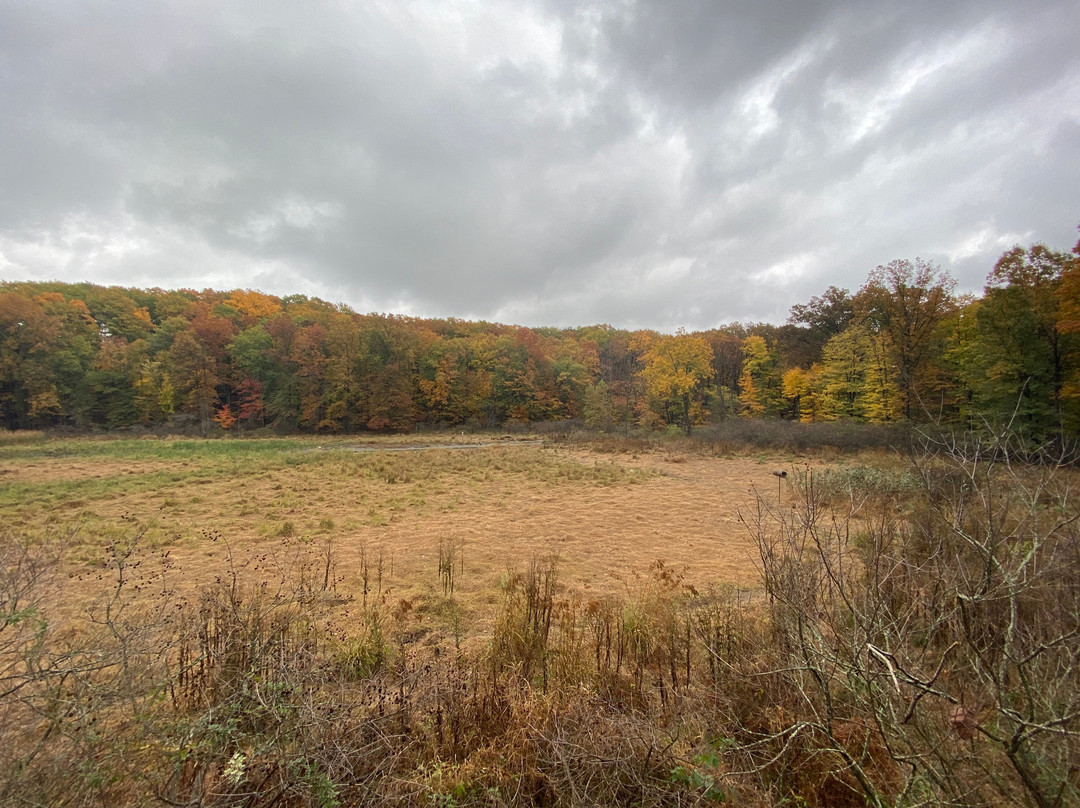 Pete's Pond Preserve景点图片