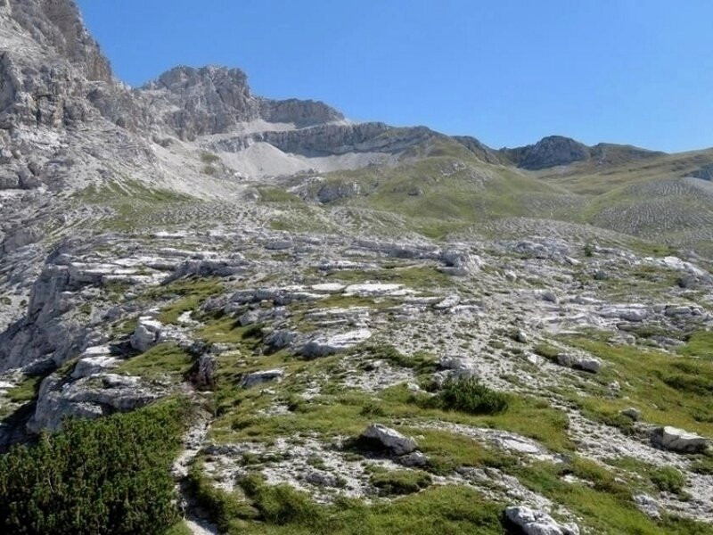 Monte Talvena景点图片