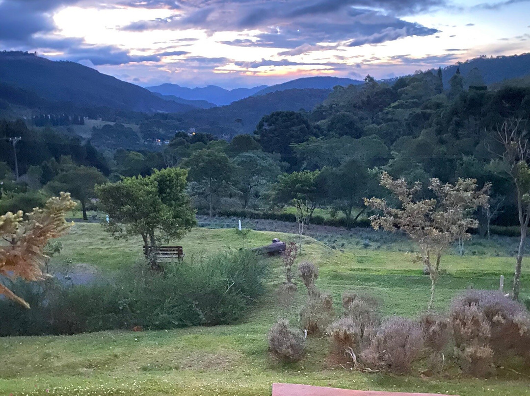 Pousada Pinho Bravo主图