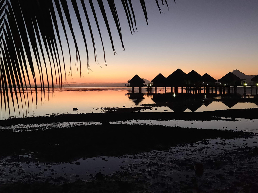 Pension de la Plage Tahiti主图