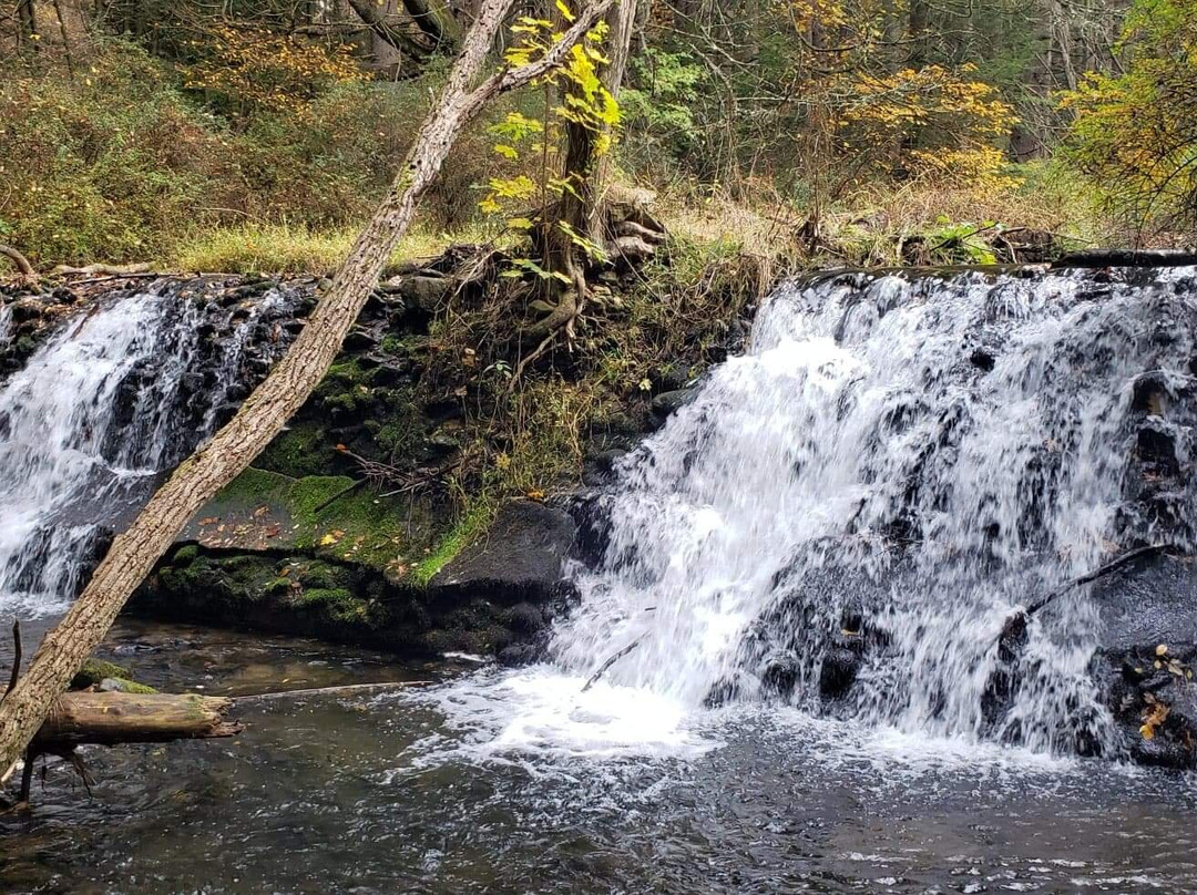 Beltzville State Park景点图片