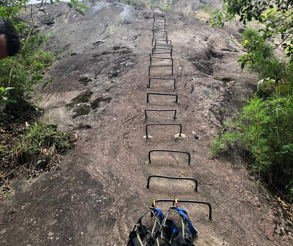 Altus Turismo Ecologico-坎普斯－杜若尔当必去景点