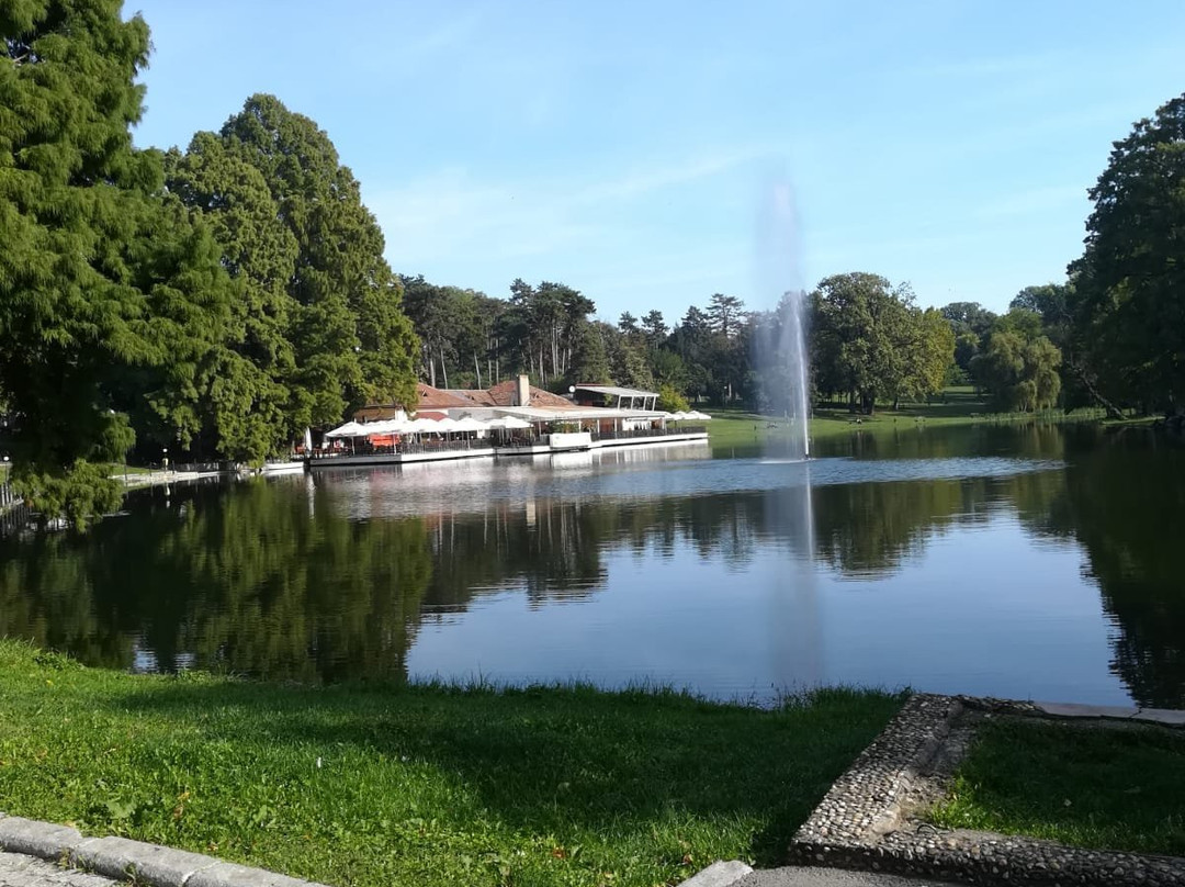 Parcul Nicolae Romanescu景点图片