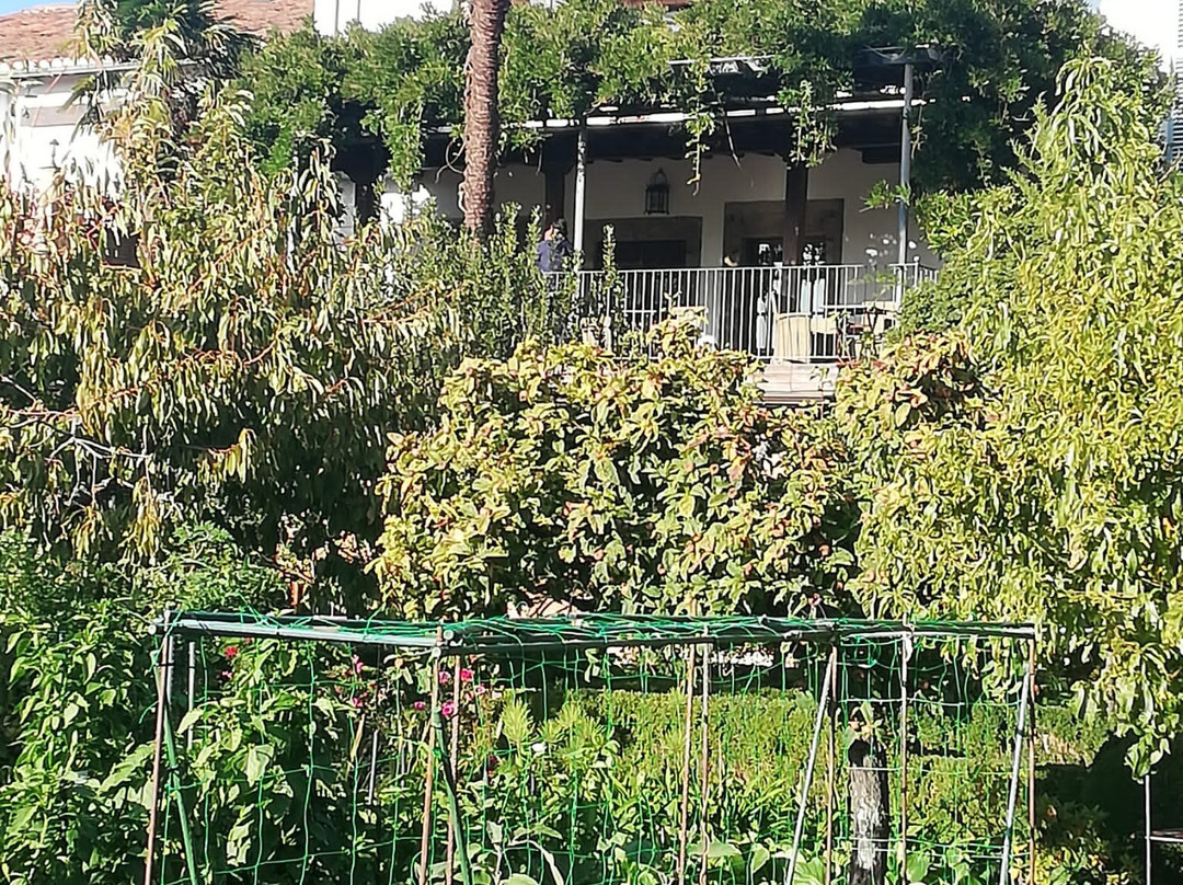 El Jardin del Convento主图