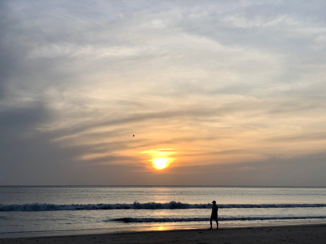 阿尼拉纳尼拉瓦利酒店主图