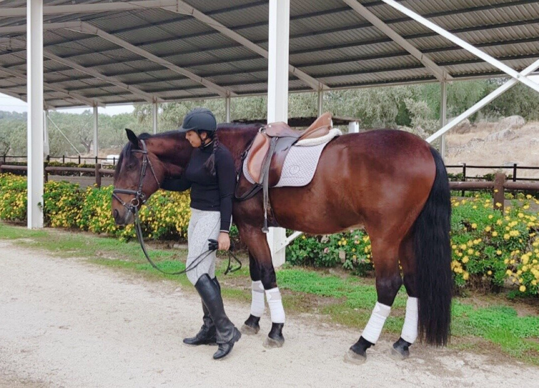 蒙韦柳度假酒店主图