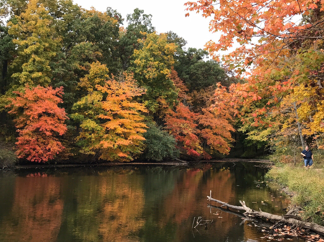 Stephen A Forbes State Park-Kinmundy必去景点