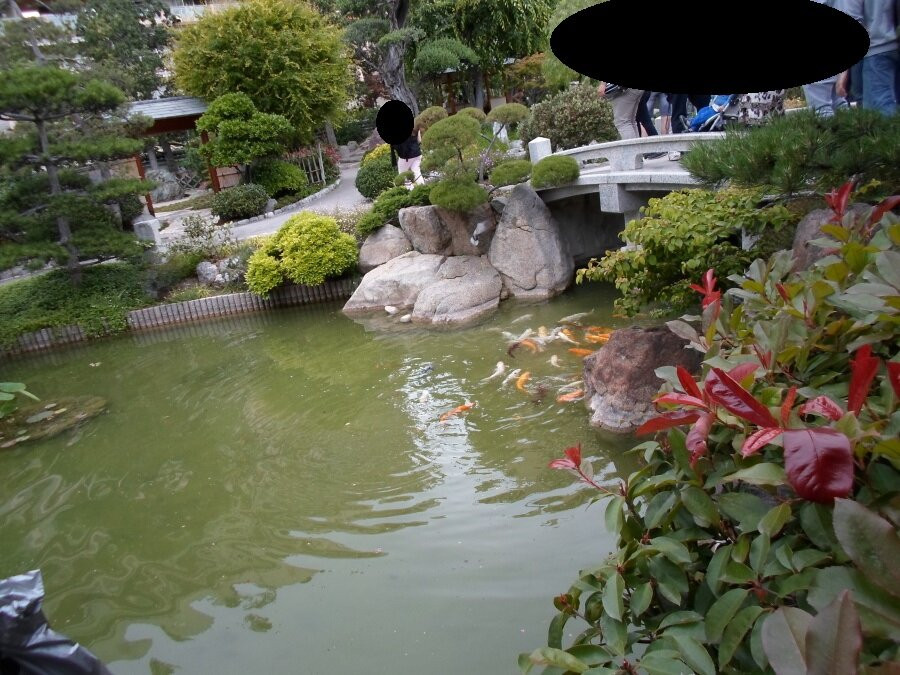 Champions Promenade-蒙特卡洛必去景点