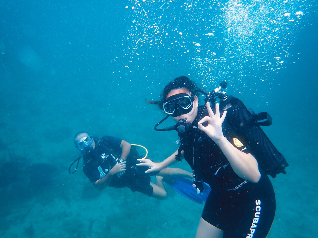 Calypso Plongée-Trois-Ilets必去景点