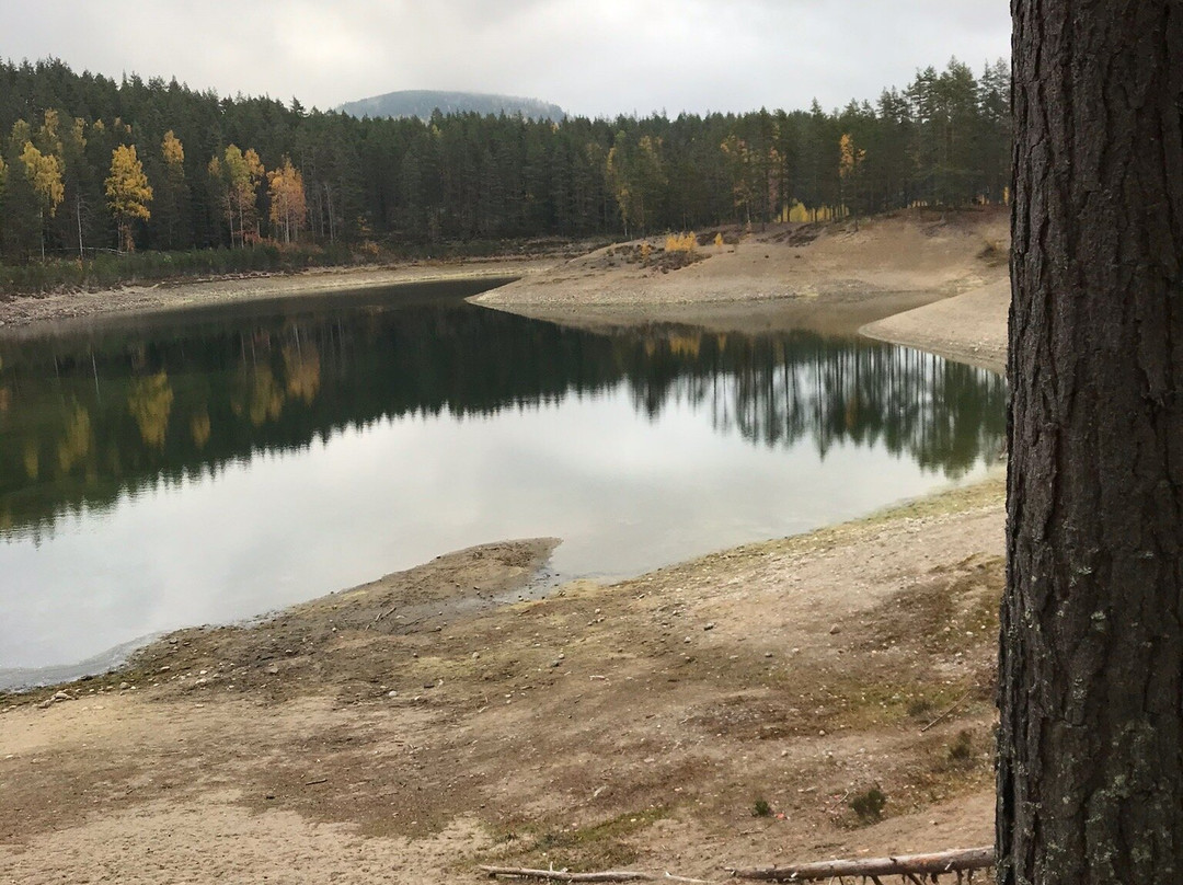 Grontjarn naturreserve-Ljusdal必去景点