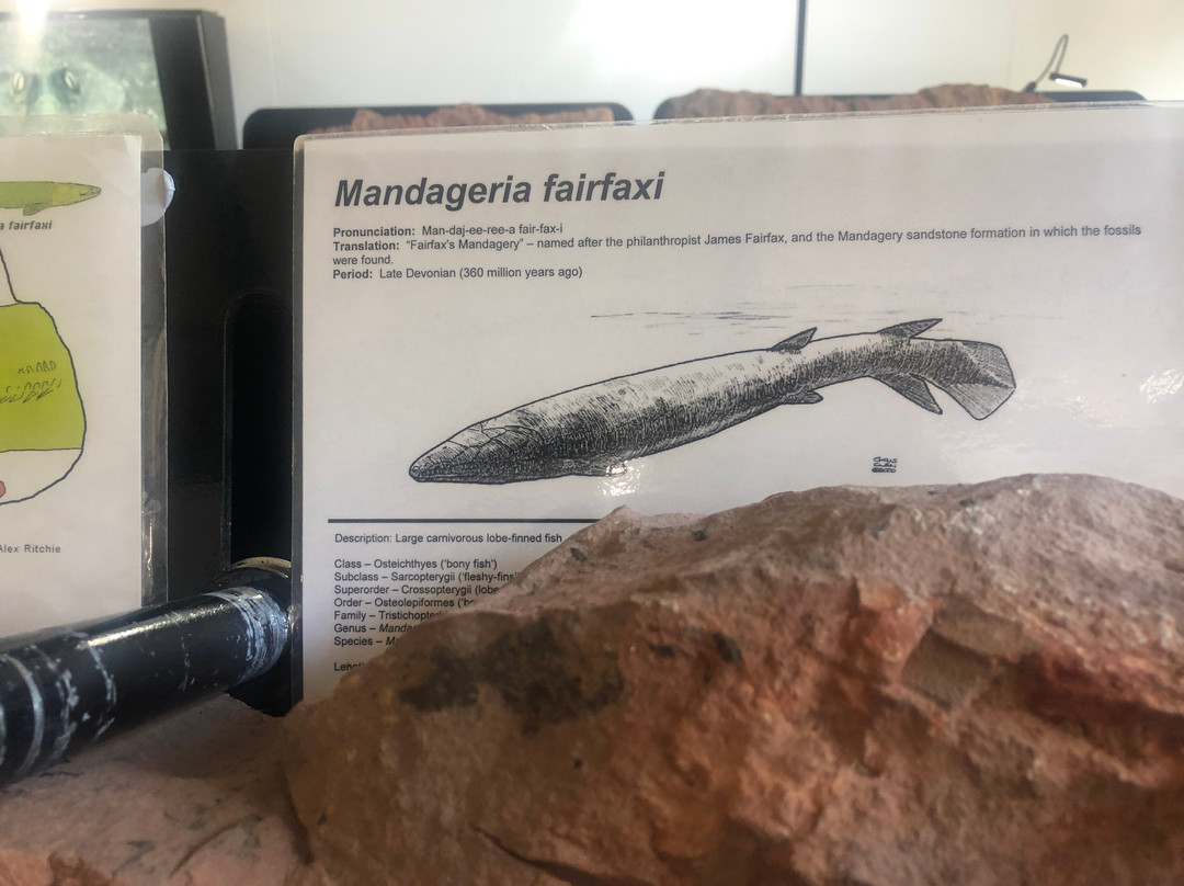 The Age of Fishes Museum-Canowindra必去景点