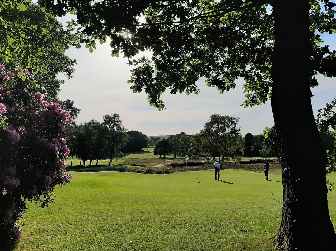 Blackmoor Golf Club景点图片
