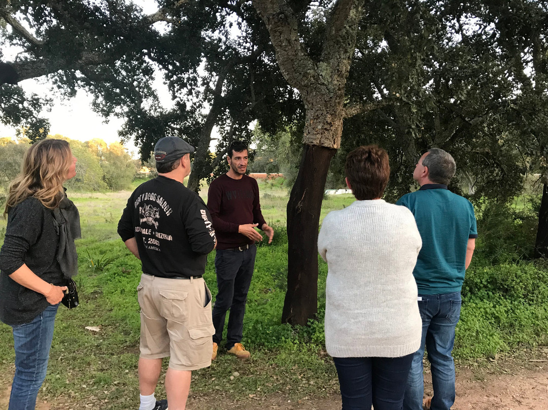 Algarving Tours-阿尔布赞拉必去景点