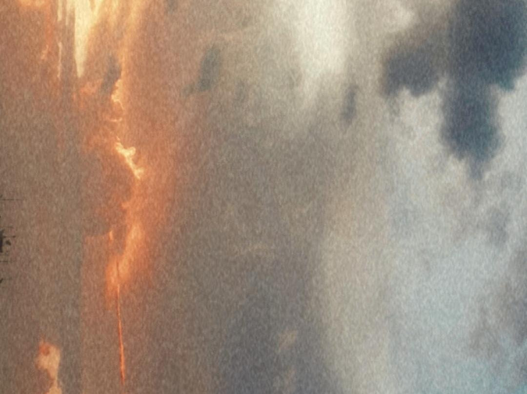 Pousada Bosque dos Aruas主图