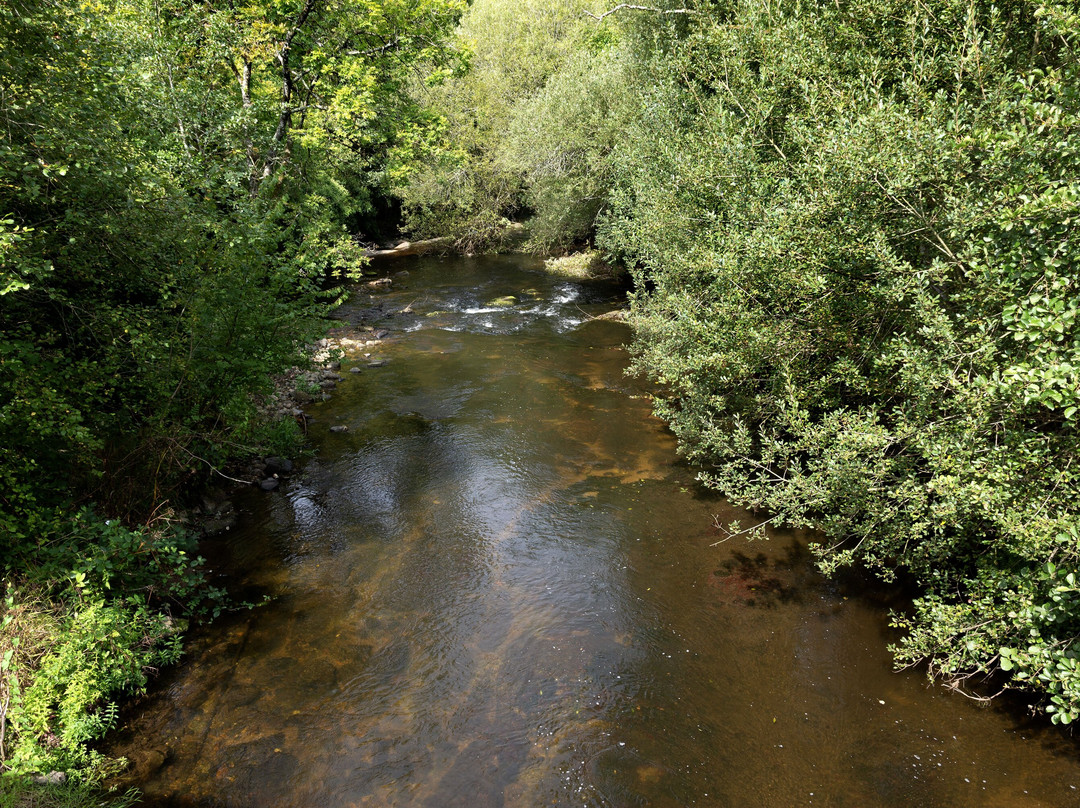 Vallée Des Papeteries景点图片