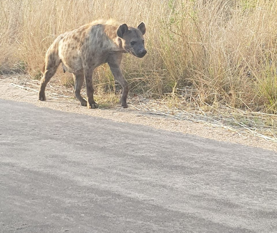 Crowned Eagle Tours and Safaris-雾观必去景点