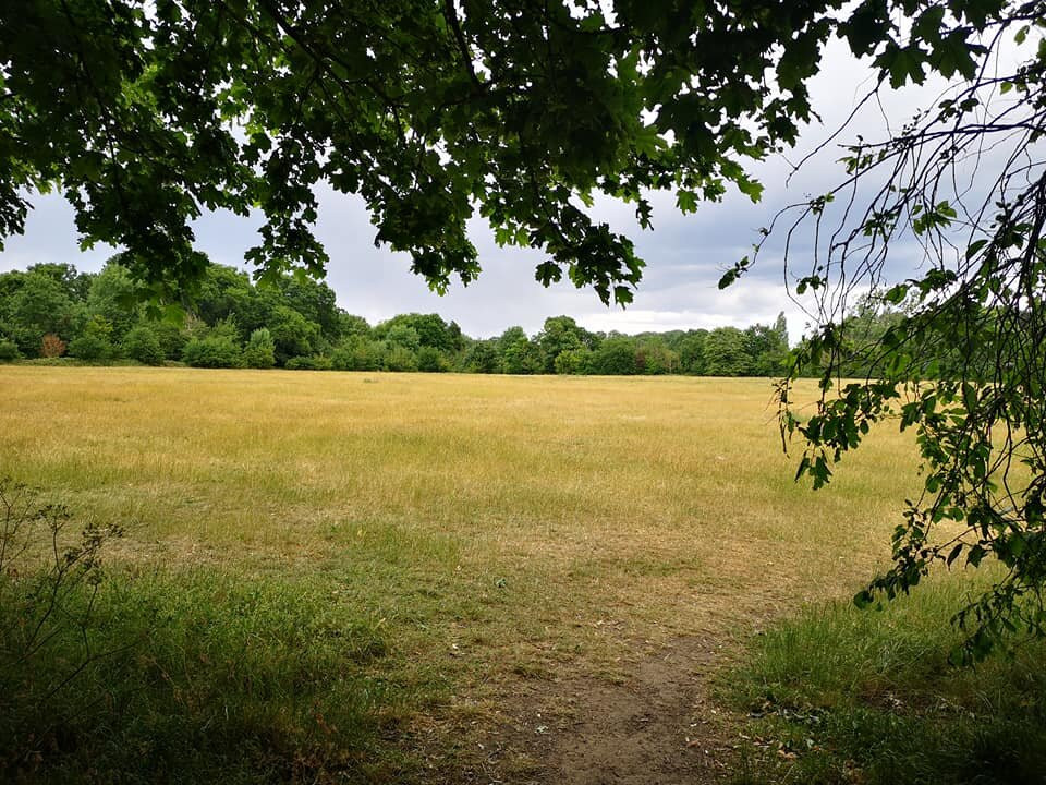 Nonsuch Park景点图片