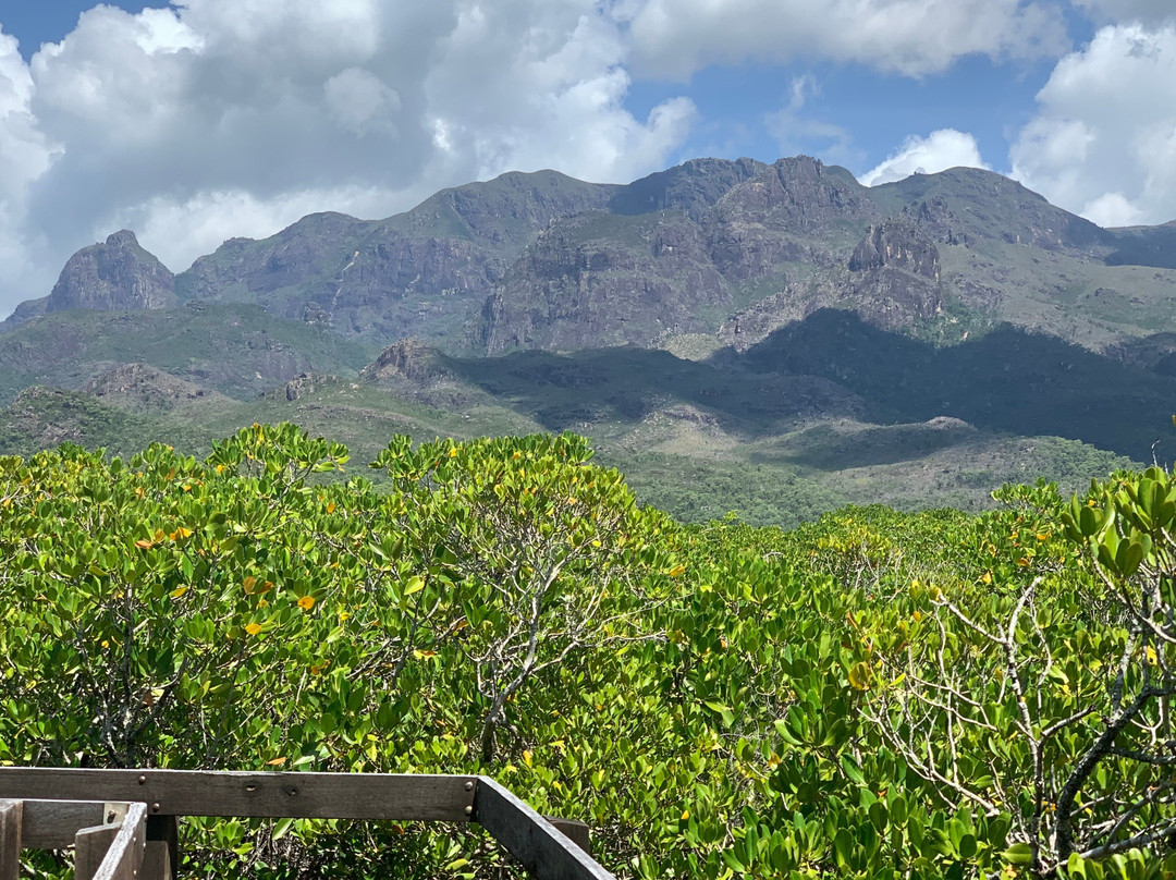 Great Barrier Reef Fishing & Island tours景点图片