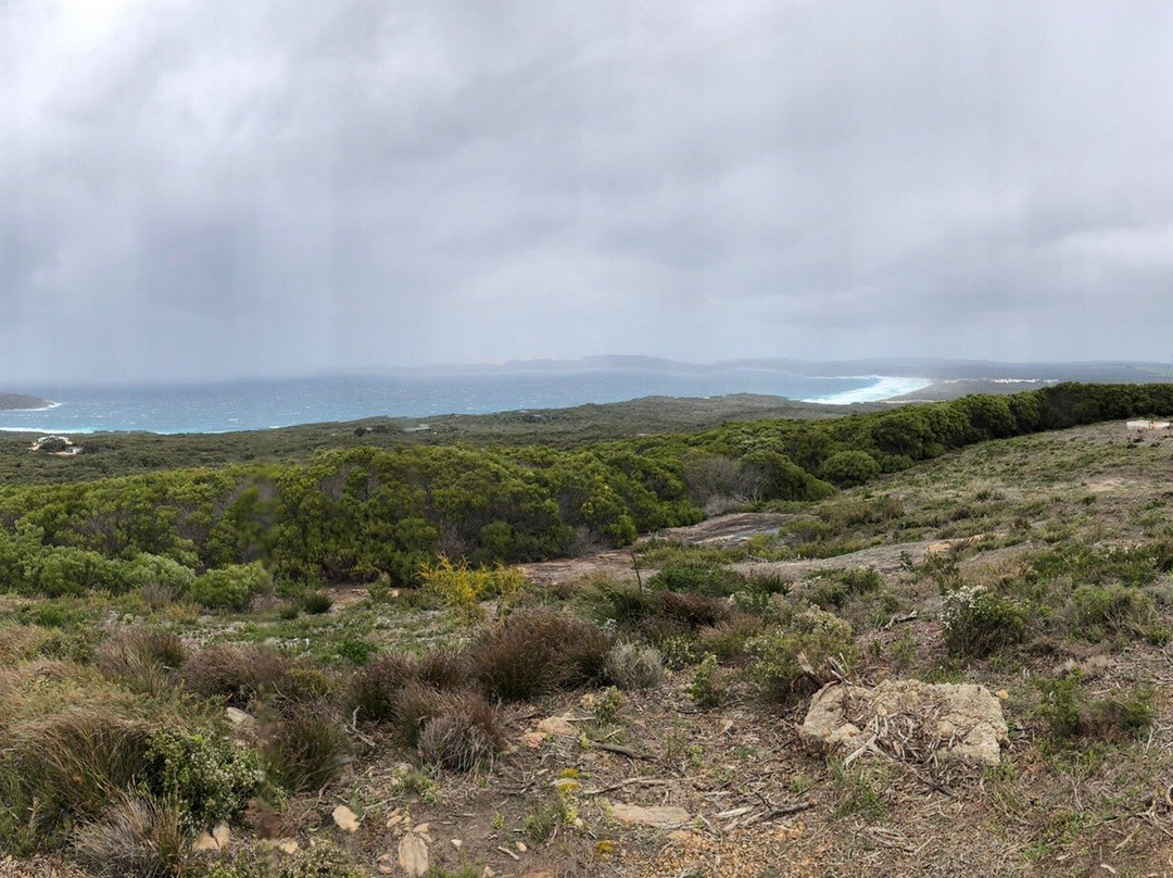 Tooreburrup Hill Lookout景点图片