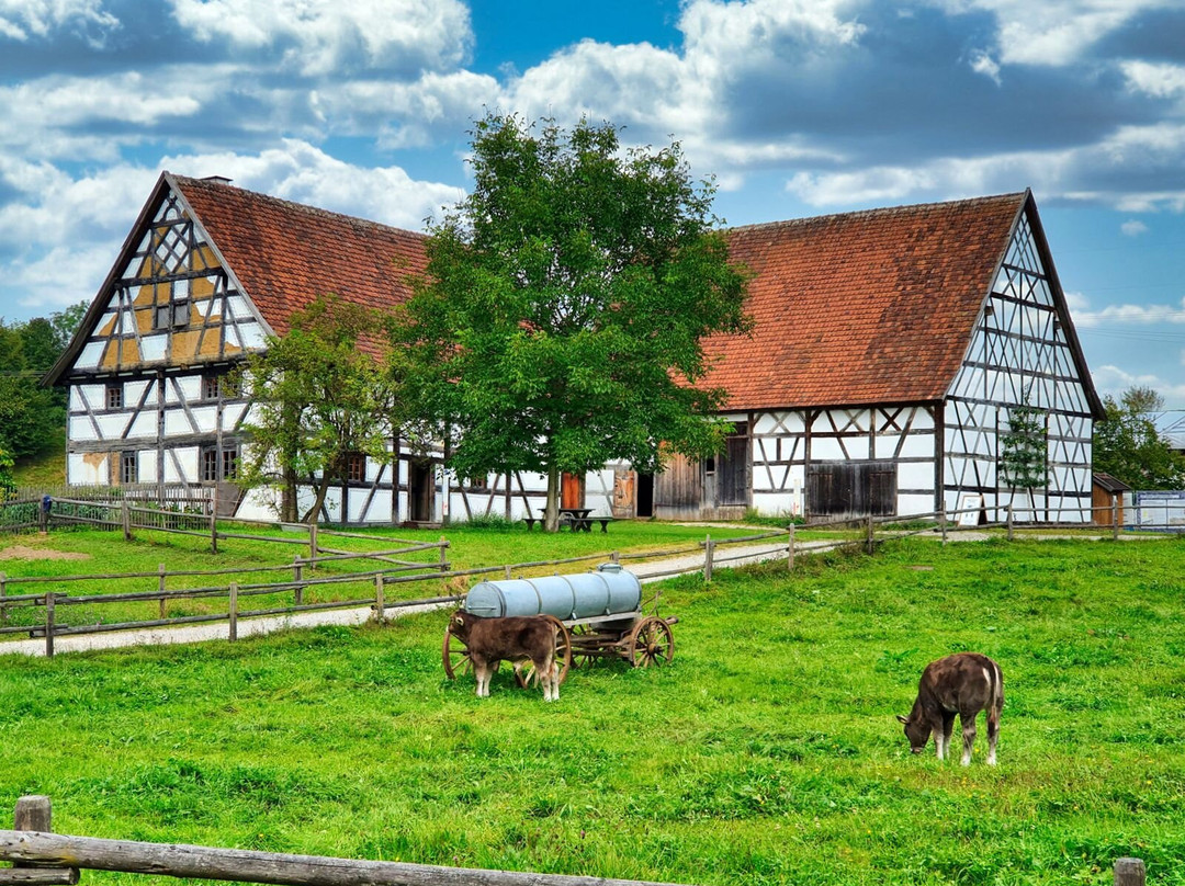 Schwabisches Bauernhofmuseum Illerbeuren (Swabian Farm Museum Illerbeuren)-Kronburg必去景点