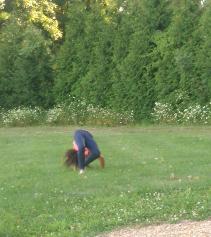 Sofios Park-Norwalk必去景点