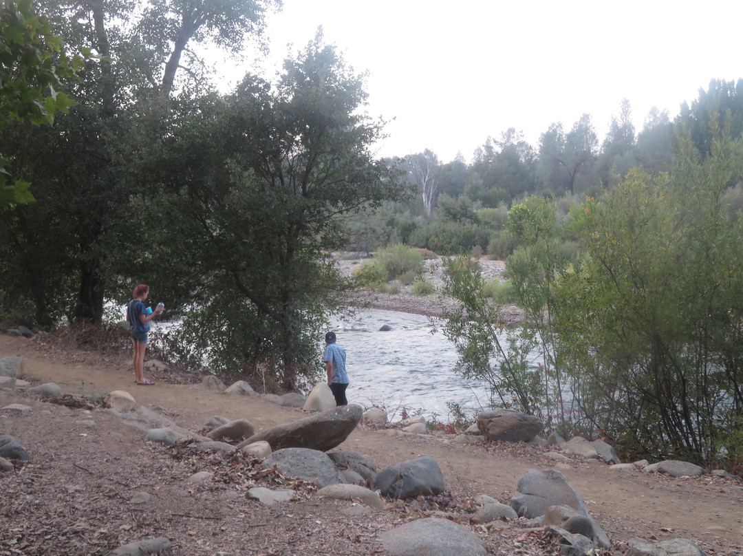 Henningsen Lotus Park-Lotus必去景点