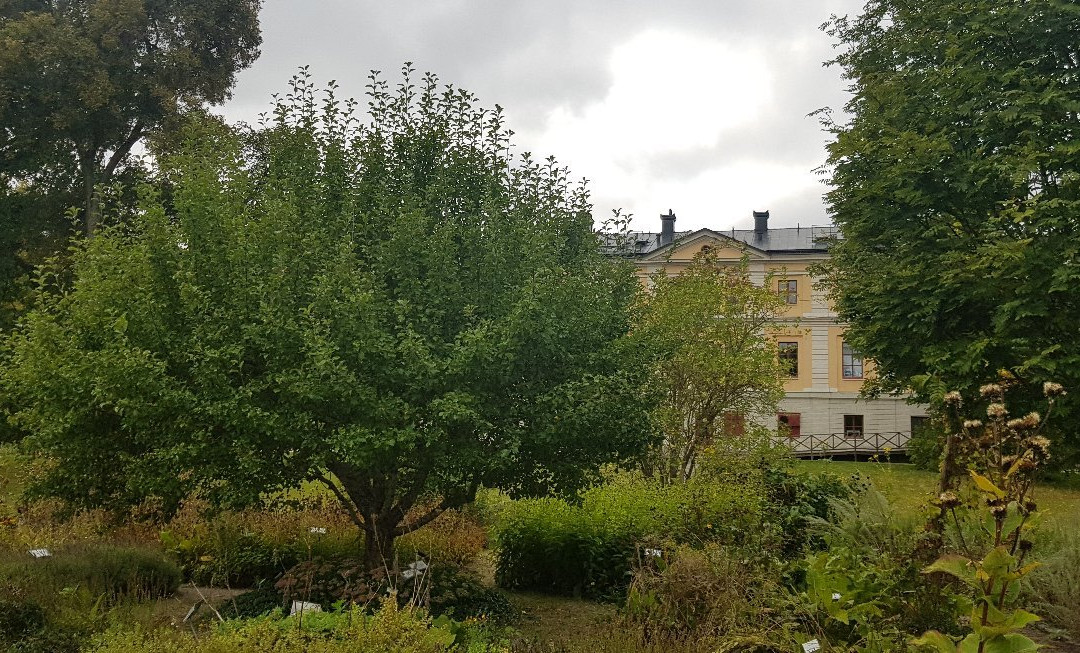 Säfstaholms Slott-Vingaker必去景点