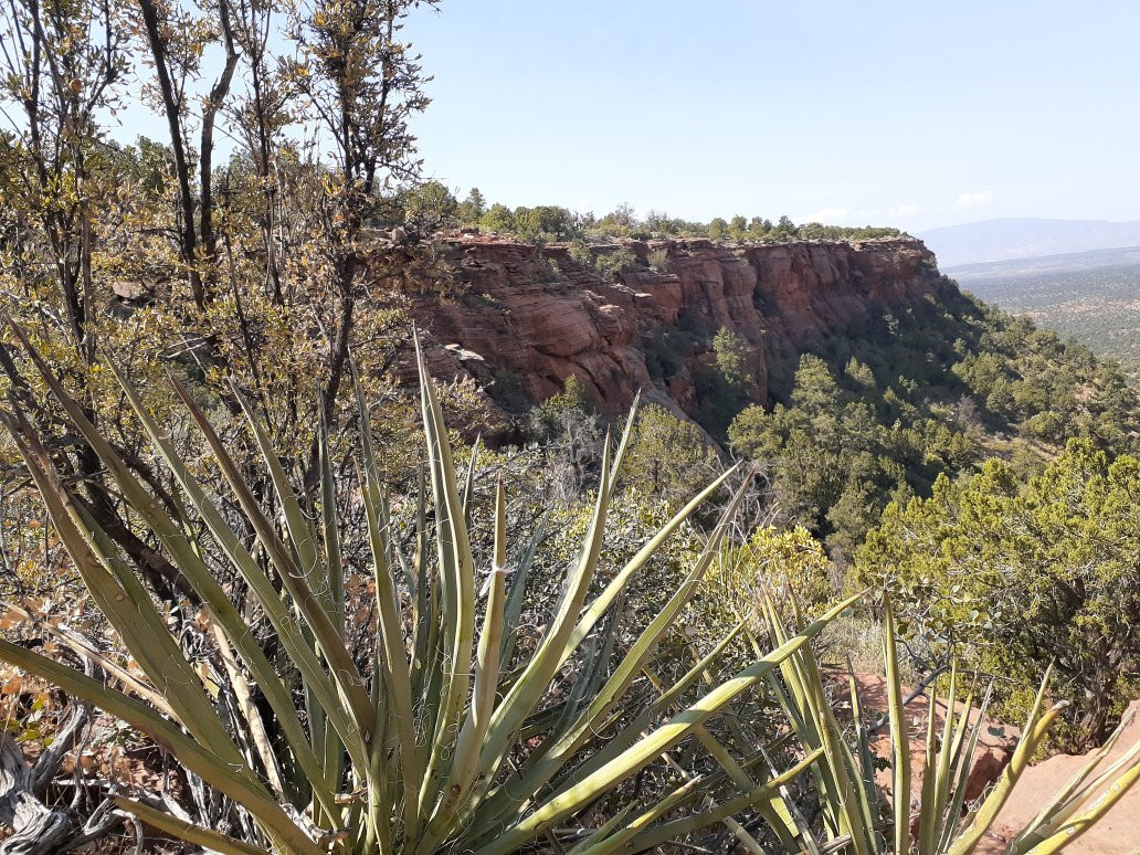 Doe Mountain Trail-塞多纳必去景点