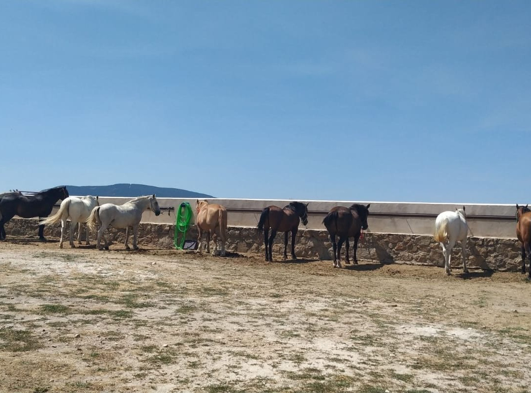 Finca Nogales景点图片