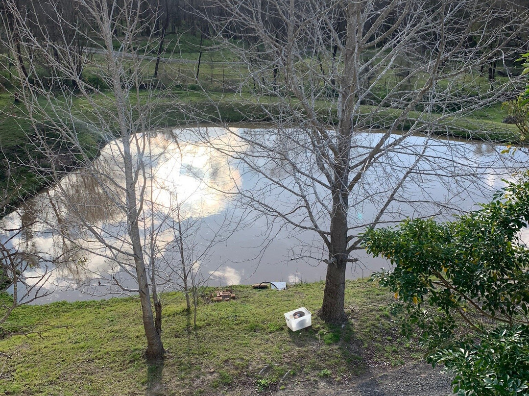 Wombatalla Guesthouse主图