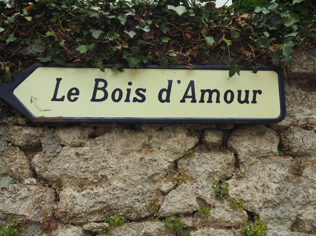 Bois d'Amour-阿凡桥必去景点