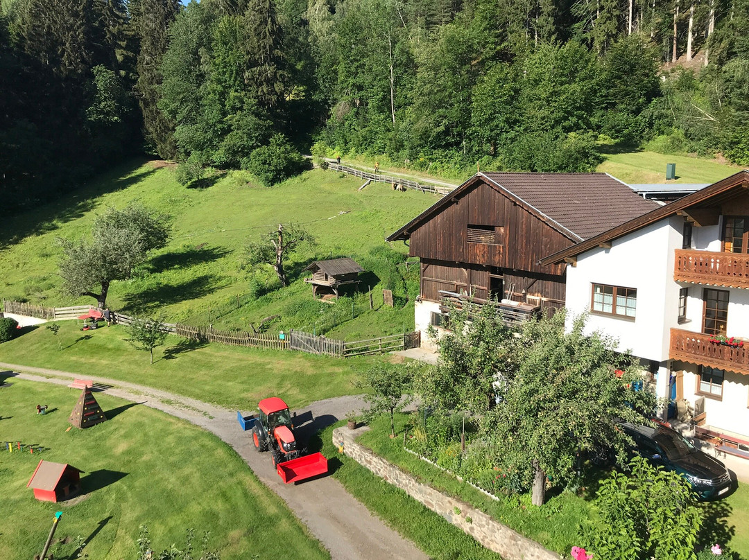 Hotel Gasthof Gribelehof主图