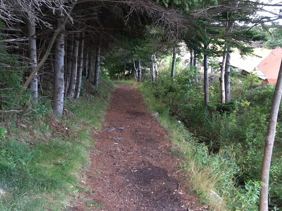 Corney Brook Trail景点图片
