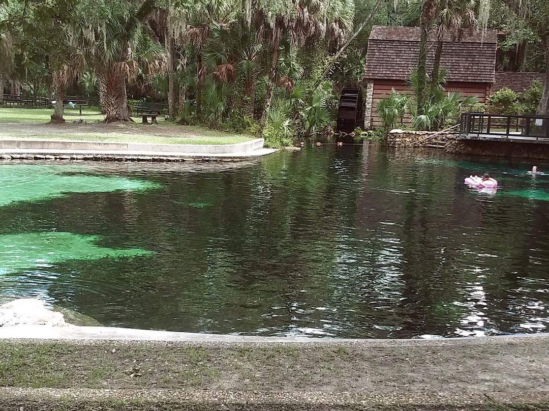 Juniper Springs-奥卡拉必去景点