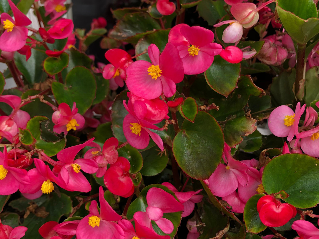 The Old School House主图