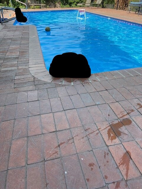 种植园住宿加早餐酒店主图