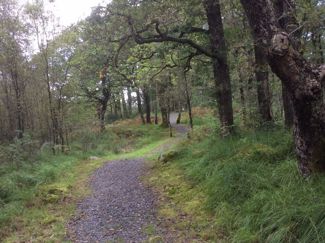 Galloway Forest Park-Galloway Forest Park必去景点