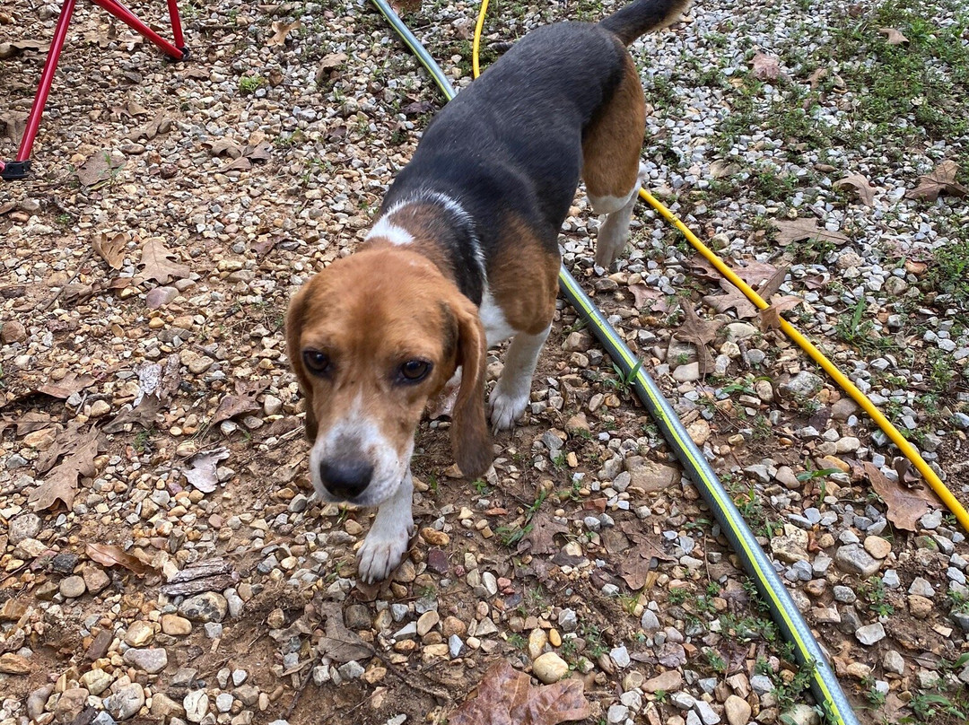 Crowley Ridge State Park-Paragould必去景点