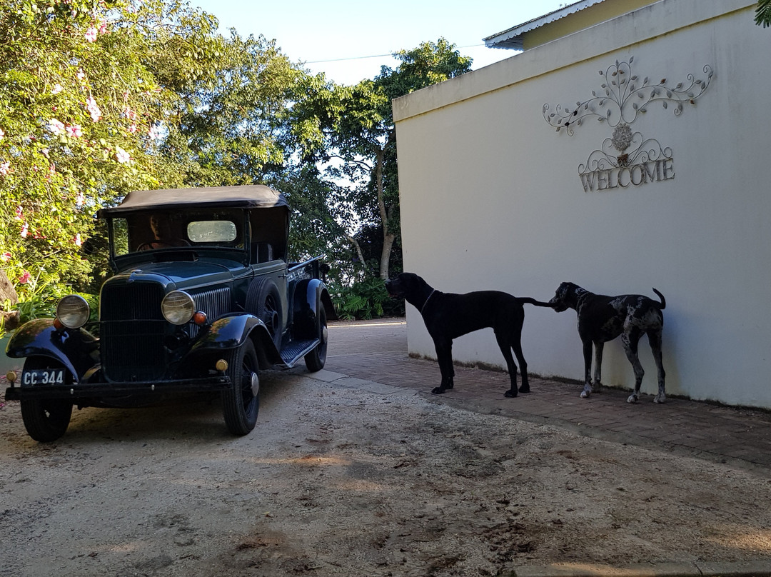 Royston Hall Guesthouse主图