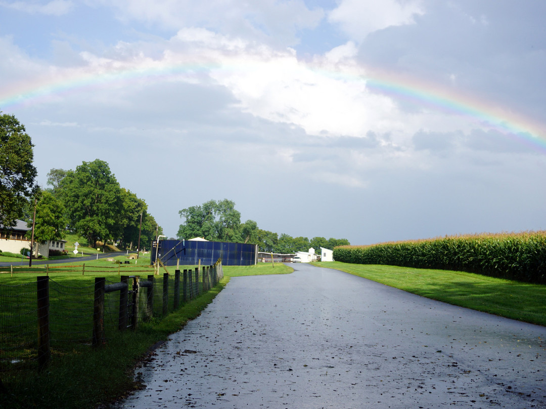 Rocky Acre Farm B&B主图