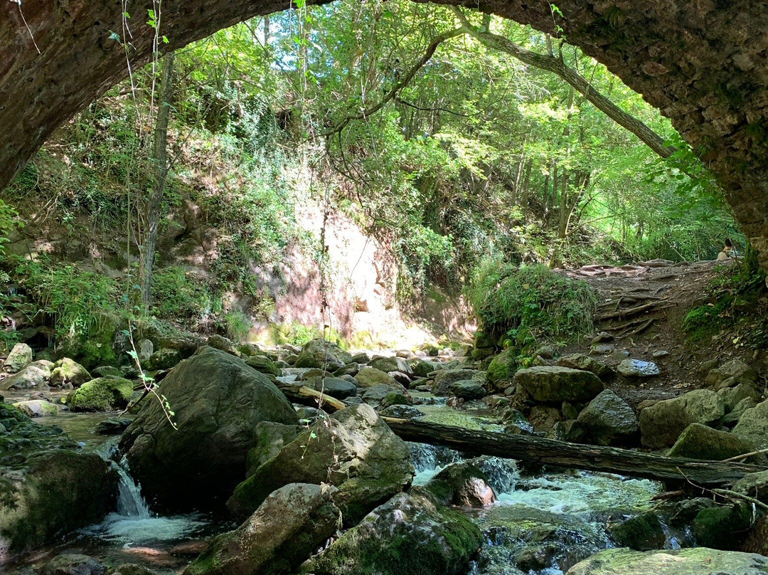 Las Fuentes del Llobregat景点图片