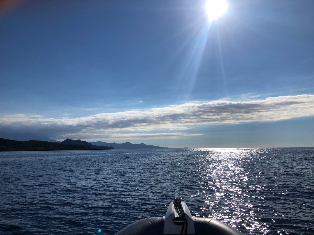 Corsica & Boat-Algajola必去景点
