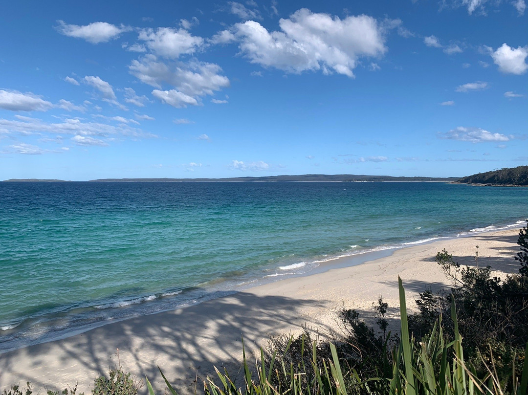 Blenheim Beach景点图片