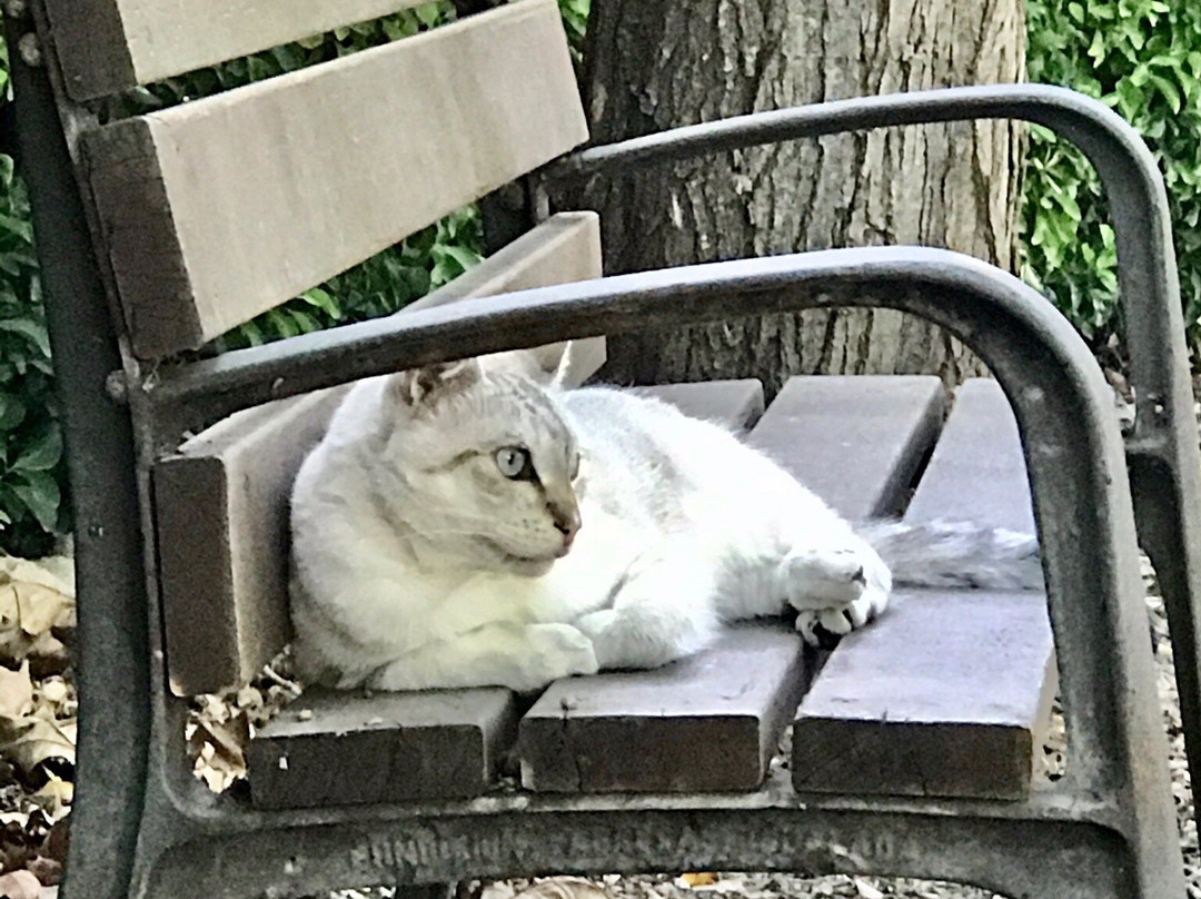 Logis Hotel El Moli de Siurana主图