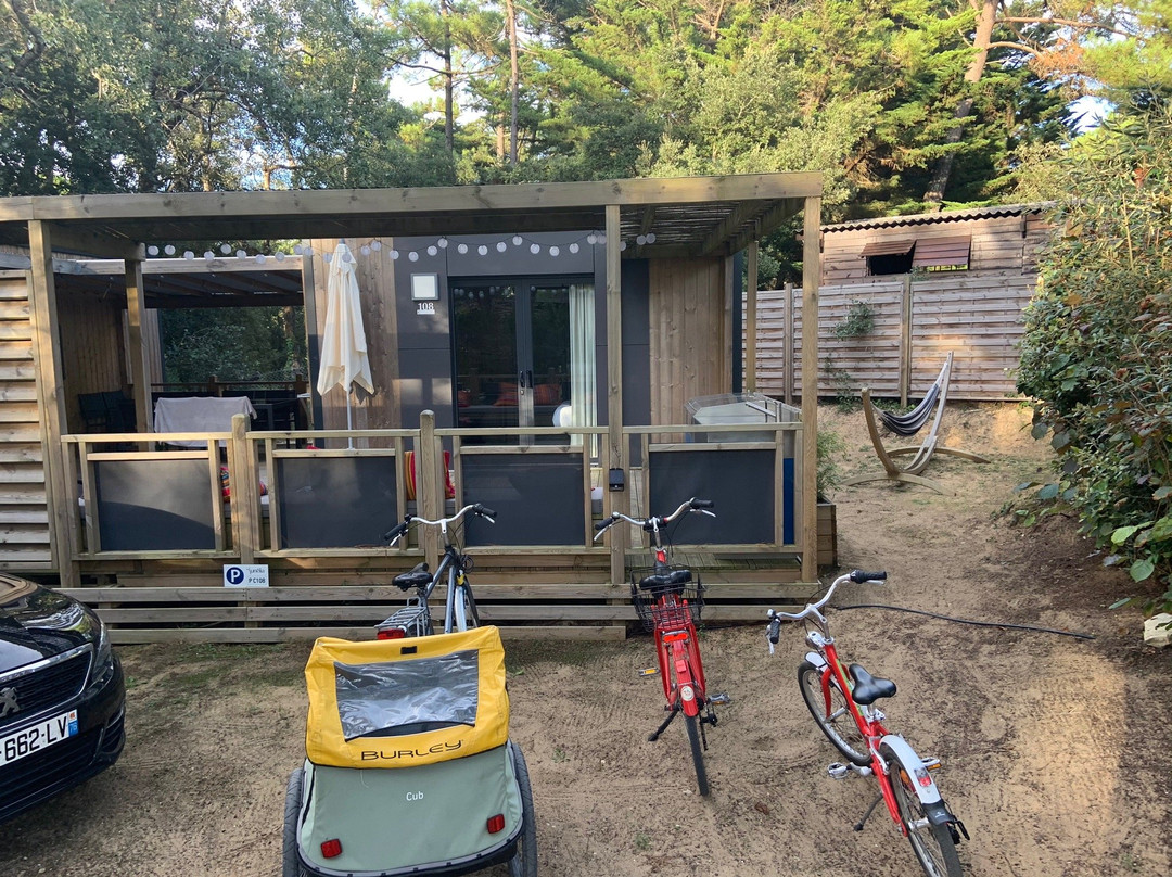 Sandaya Interlude主图