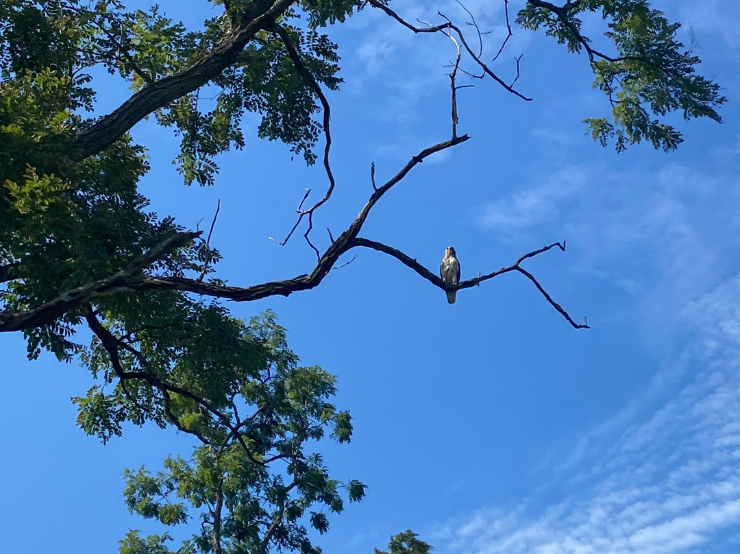Beekman Country Club-Hopewell Junction必去景点