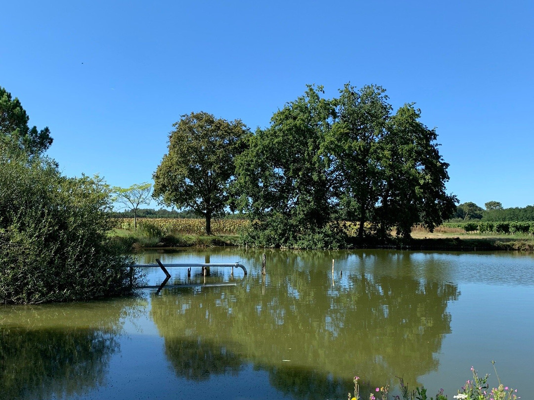 La Serpauderie主图